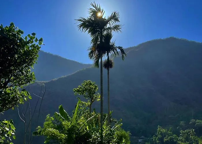 Tropical Habitat Bali Amed